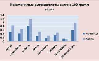 Постное меню: что такое полба и с чем её едят?