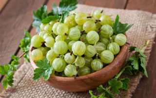 Как выбрать самые вкусные сезонные ягоды: советы Роскачества