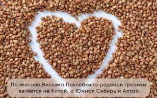 Что такое гречиха и к какому семейству она относится