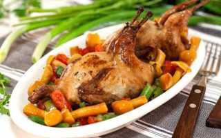Самые вкусные рецепты приготовления цыплят-корнишонов в духовке