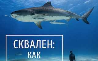 Сквален амарантовый. Омолаживающие свойства сквалена
