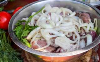 Маринад для шашлыка из свинины: 16 рецептов, чтобы мясо было мягким и сочным
