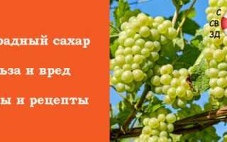 9 достоинств жидкого виноградного сахара