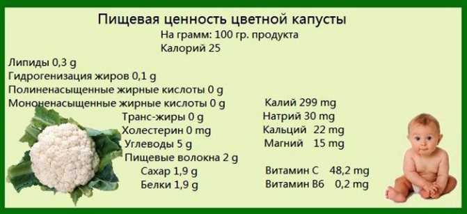 Цветная капуста. Калорийность: вареная с яйцом на сковороде, в кляре, белки, жиры, углеводы