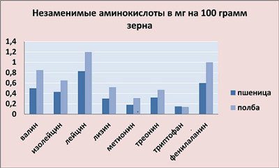 Полбяная мука: цельнозерновая мука из полбы, что это такое, польза и вред, калорийность и содержание глютена, рецепты выпечки