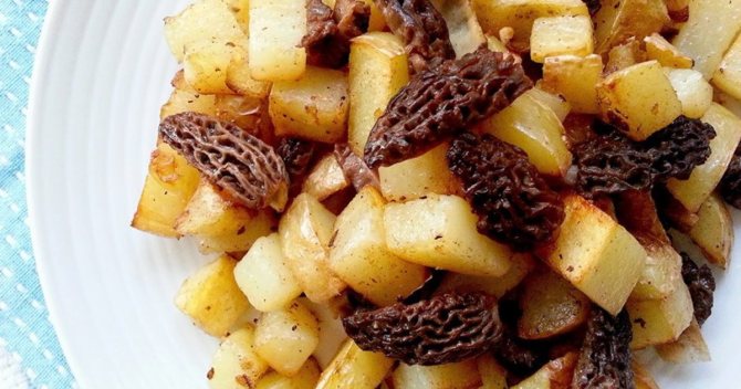 Сморчки, какие особенности их приготовления?