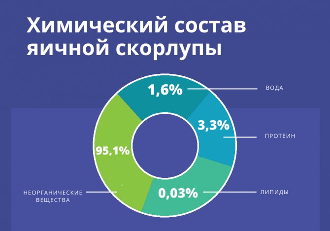 состав скорлупы перепелиных яиц