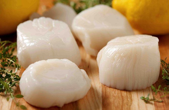 Свежие морские гребешки