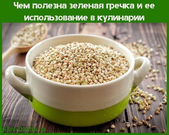 зеленая гречка